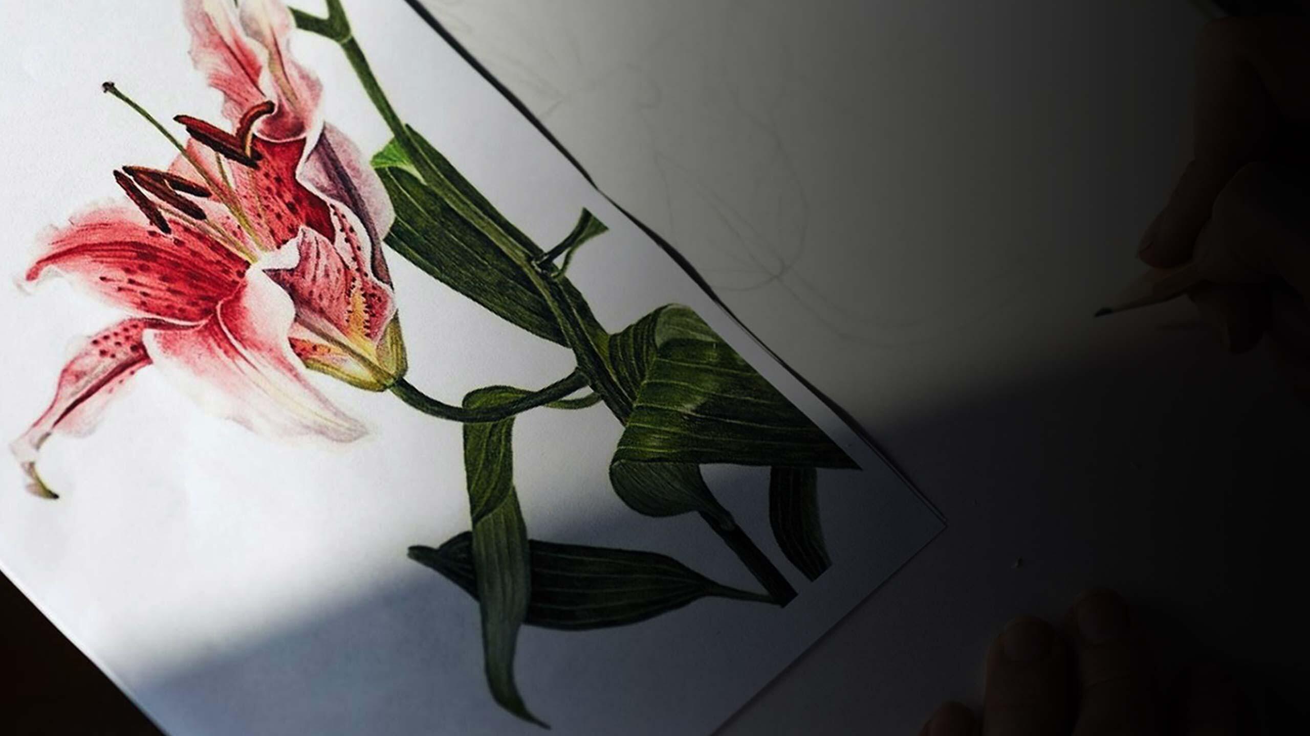 A story of violence, told in 16 objects