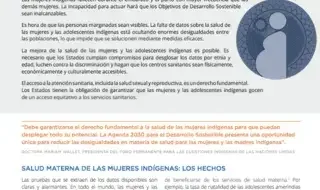 Salud y mortalidad materna de las mujeres indígenas